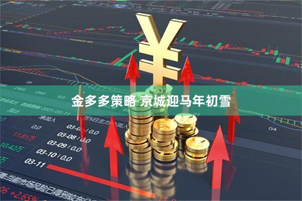 金多多策略 京城迎马年初雪