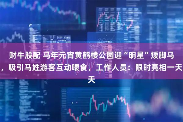 财牛股配 马年元宵黄鹤楼公园迎“明星”矮脚马，吸引马姓游客互动喂食，工作人员：限时亮相一天