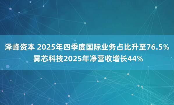 泽峰资本 2025年四季度国际业务占比升至76.5% 雾芯科技2025年净营收增长44%