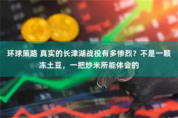 环球策路 真实的长津湖战役有多惨烈？不是一颗冻土豆，一把炒米所能体会的
