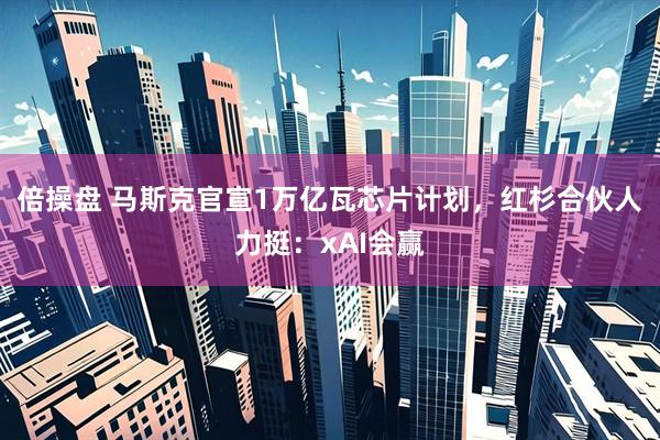 倍操盘 马斯克官宣1万亿瓦芯片计划，红杉合伙人力挺：xAI会赢