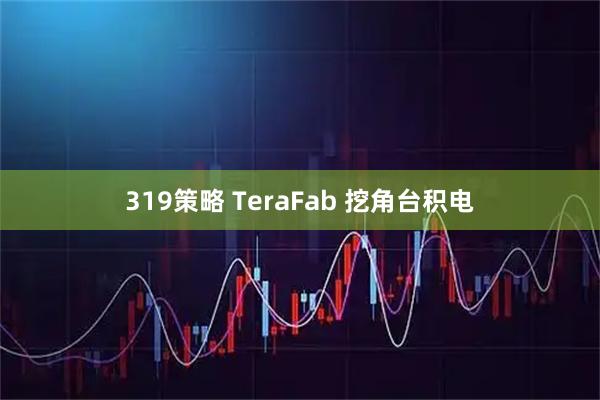 319策略 TeraFab 挖角台积电
