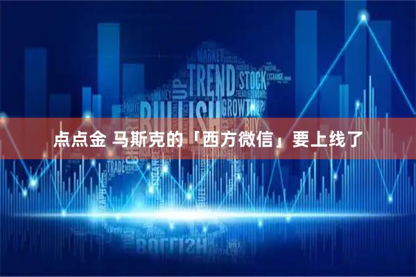 点点金 马斯克的「西方微信」要上线了
