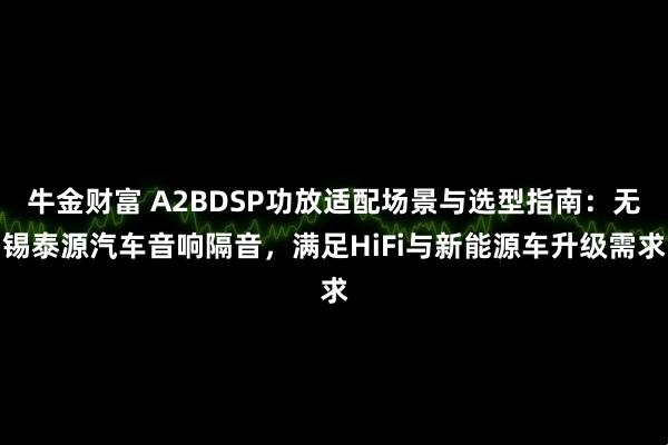牛金财富 A2BDSP功放适配场景与选型指南:无锡泰源汽车音响隔音,满足HiFi与新能源车升级需求