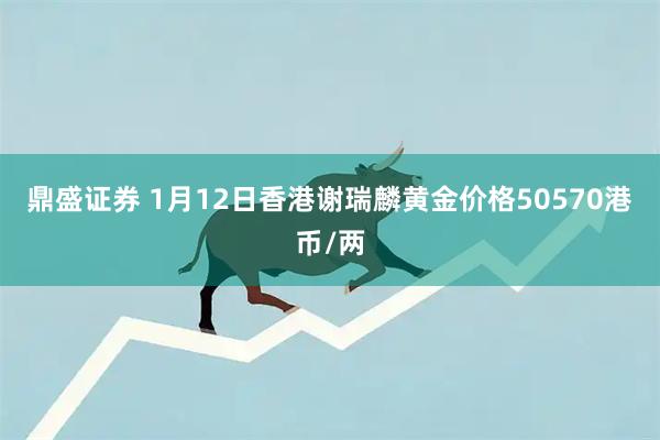 鼎盛证券 1月12日香港谢瑞麟黄金价格50570港币/两