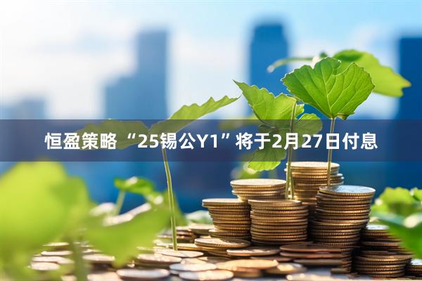 恒盈策略 “25锡公Y1”将于2月27日付息