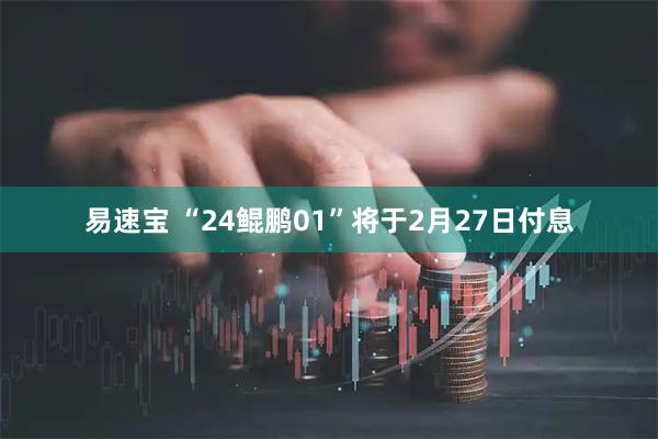 易速宝 “24鲲鹏01”将于2月27日付息