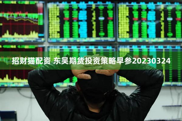 招财猫配资 东吴期货投资策略早参20230324