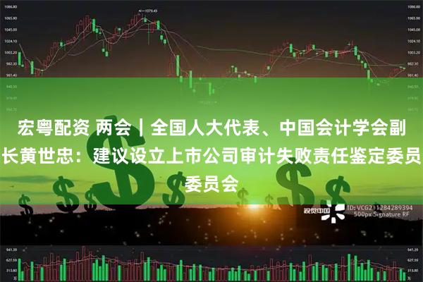 宏粤配资 两会｜全国人大代表、中国会计学会副会长黄世忠：建议设立上市公司审计失败责任鉴定委员会