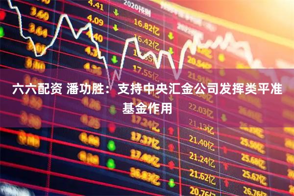 六六配资 潘功胜：支持中央汇金公司发挥类平准基金作用