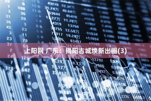 上阳网 广东：揭阳古城焕新出圈(3)