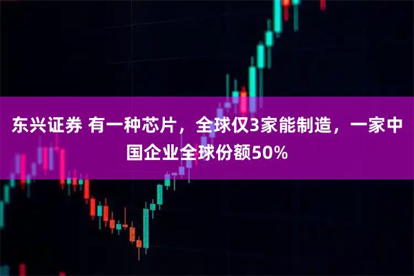 东兴证券 有一种芯片，全球仅3家能制造，一家中国企业全球份额50%