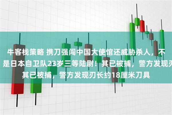 牛客栈策略 携刀强闯中国大使馆还威胁杀人，不法之徒身份公布：是日本自卫队23岁三等陆尉！其已被捕，警方发现刃长约18厘米刀具