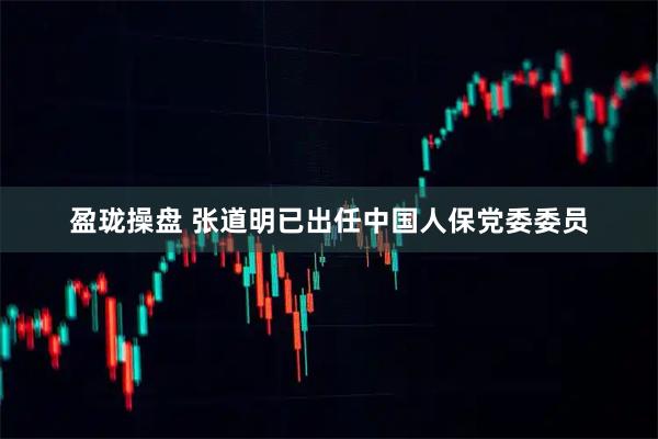 盈珑操盘 张道明已出任中国人保党委委员
