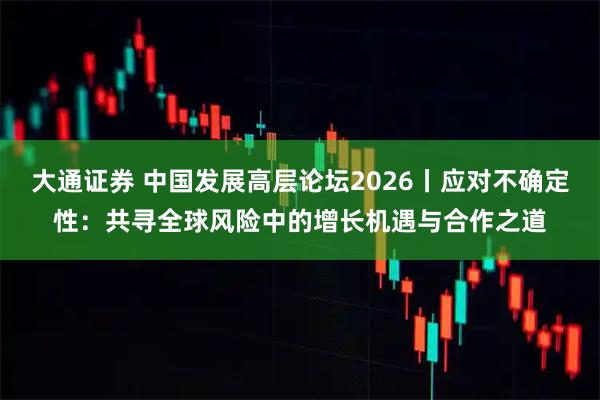 大通证券 中国发展高层论坛2026丨应对不确定性：共寻全球风险中的增长机遇与合作之道