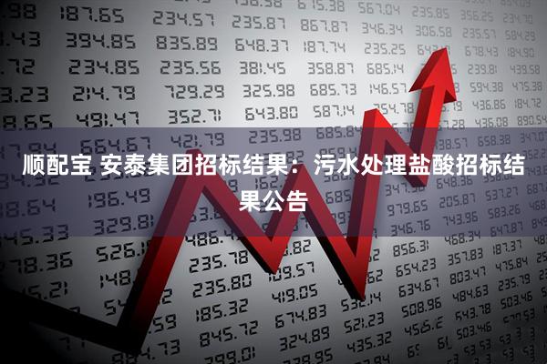 顺配宝 安泰集团招标结果：污水处理盐酸招标结果公告