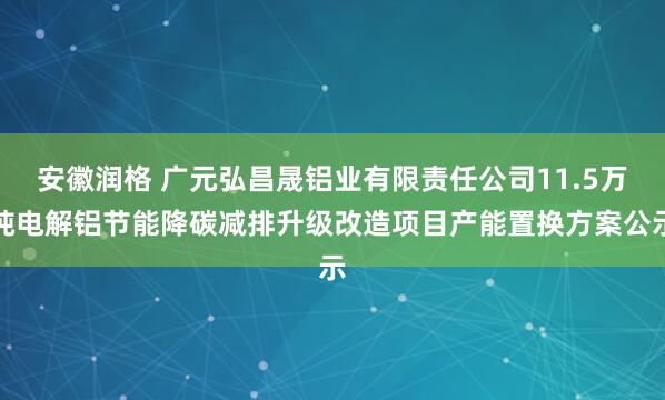 安徽润格 广元弘昌晟铝业有限责任公司11.5万吨电解铝节能降碳减排升级改造项目产能置换方案公示