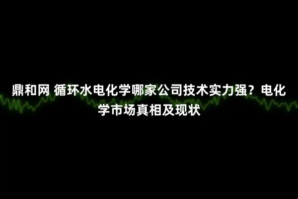 鼎和网 循环水电化学哪家公司技术实力强？电化学市场真相及现状