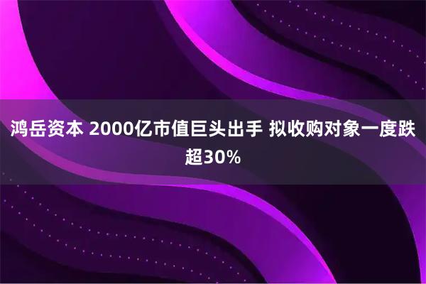 鸿岳资本 2000亿市值巨头出手 拟收购对象一度跌超30%