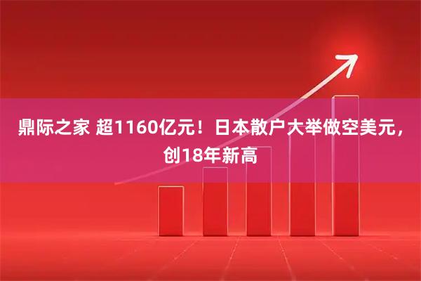 鼎际之家 超1160亿元！日本散户大举做空美元，创18年新高