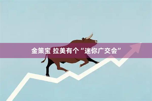 金策宝 拉美有个“迷你广交会”