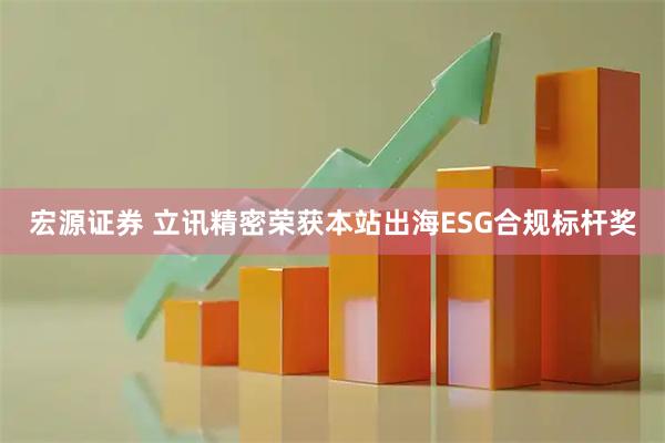 宏源证券 立讯精密荣获本站出海ESG合规标杆奖