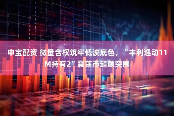 申宝配资 微量含权筑牢低波底色，“丰利逸动11M持有2”震荡市超额突围