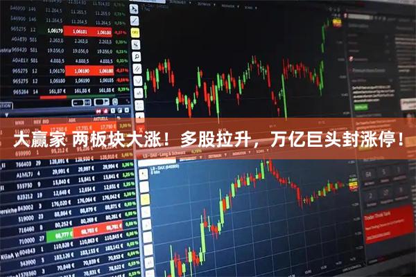 大赢家 两板块大涨！多股拉升，万亿巨头封涨停！
