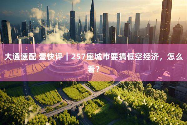 大通速配 壹快评｜257座城市要搞低空经济，怎么看？